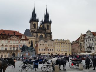 vánoční stromeček na Staromáku